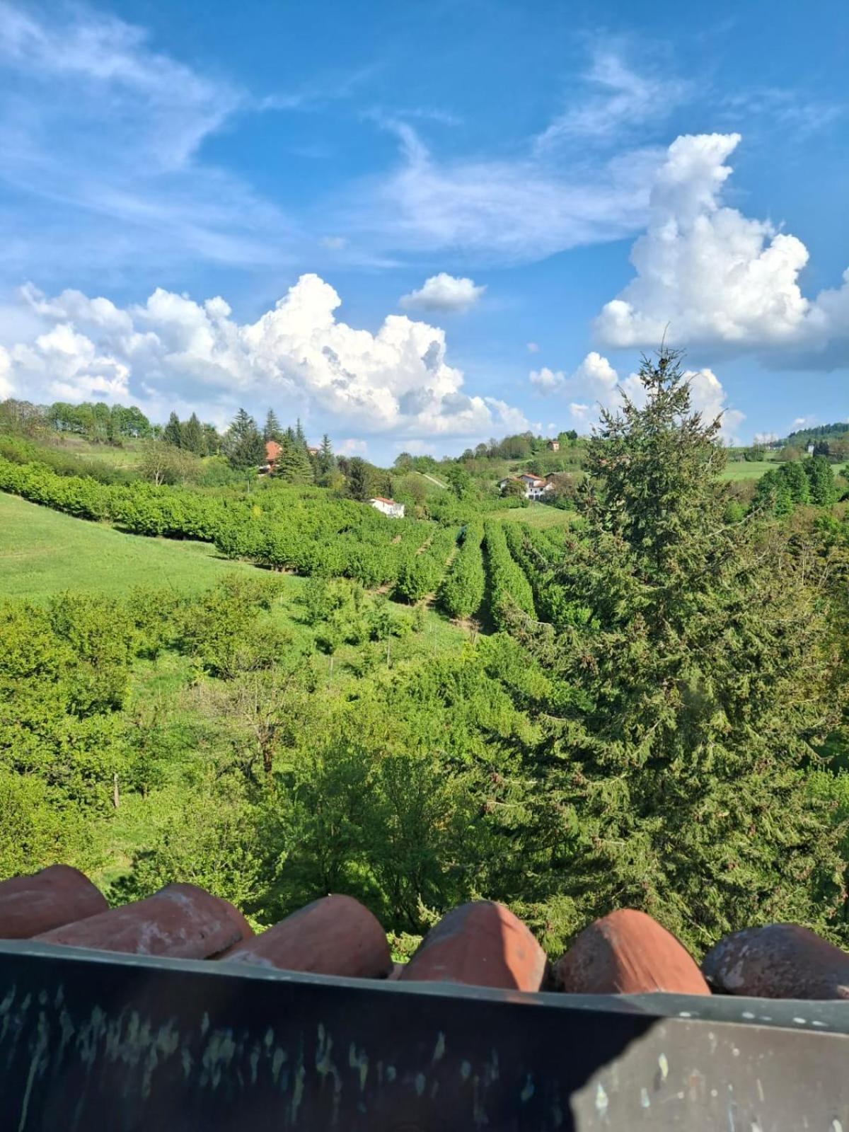 Ferienwohnung Cascina Bringin Mondovì Exterior foto